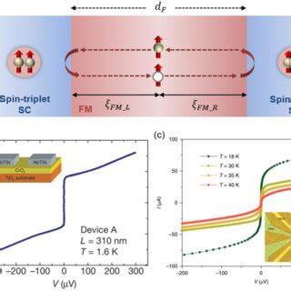 Experimental Progresses Of Long Range Spin Triplet Josephson