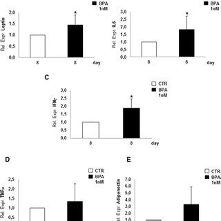 Pro Inflammatory Effect In 3T3 L1 Mature Adipocytes In Mature