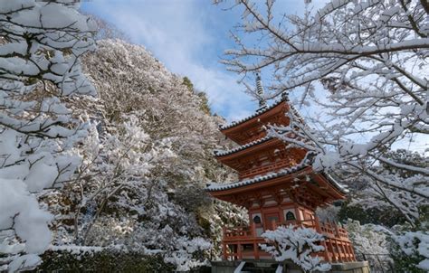 Обои зима снег деревья ветки Япония храм пагода Japan Kyoto