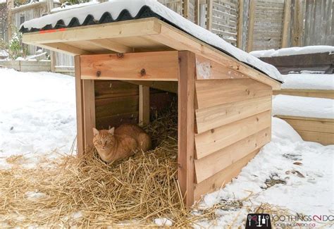 DIY Doghouse - Keep your pets warm this winter | Winter dog house, Dog ...