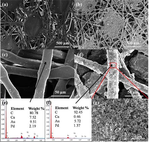 Sem Micrographs Of Ac Uncoated Non Woven Fabric Bd Ds Coated