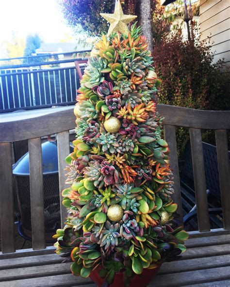 Succulent Christmas Tree www.SoCalSucculents.net | Christmas ish ...