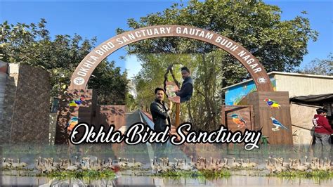 Okhla Bird Sanctuary Noida Full Tour Of Okhla Bird Sanctuary Noida