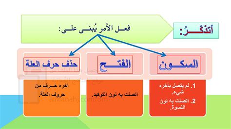 شرح درس بناء الفعل الماضي والأمر مع تدريبات الصف الثامن لغة عربية الفصل