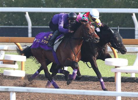 【皐月賞2週前追い】ドウデュース 直線一気に加速、友道師「精神面も落ち着いている」― スポニチ Sponichi Annex ギャンブル