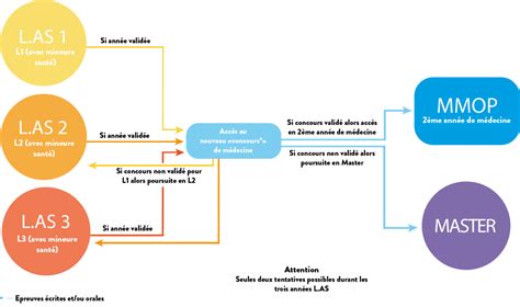 Cap Sant Pr Paration Aux Tudes De M Decine Pass Parcours D Acc S