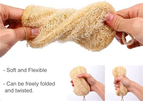 Eco Friendly Loofah Exfoliating Sponge Natural Face And Body Etsy