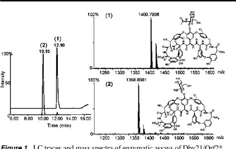 [PDF] Glycopeptide biosynthesis: Dbv21/Orf2 from dbv/tcp gene clusters are N-Ac-Glm teicoplanin ...