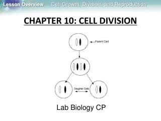 Ppt Chapter Cell Growth And Division Powerpoint Presentation Free