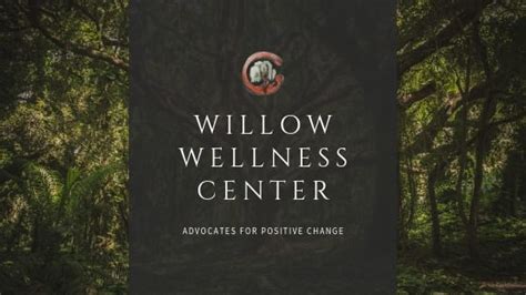 Home Willow Wellness Center