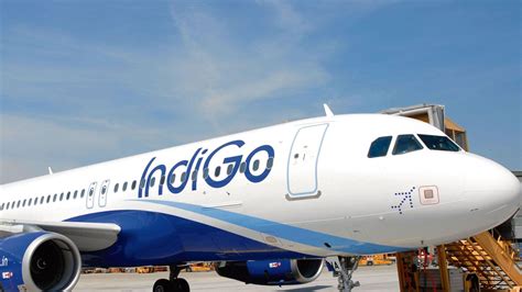 Indigo In Talks To Buy Wide Body Planes For International Ops