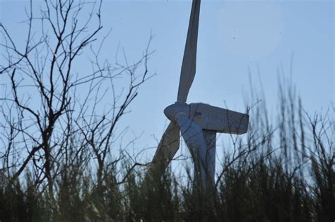 Impacto ambiental favorable para el parque eólico en A Rúa