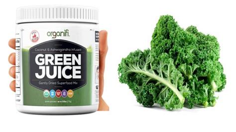 Organifi Green Juice Review - Should you use it?