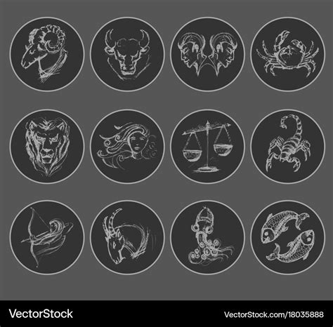 Set Of Astrological Zodiac Symbols Horoscope Vector Image