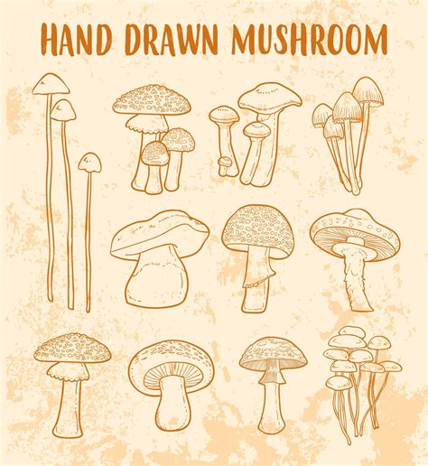 Premium Vector Hand Drawn Mushroom Doodle Vector Set