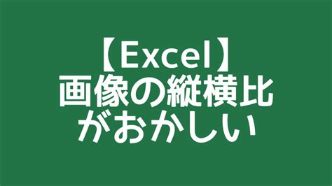 【excel】画像の縦横比がおかしい ワードは友達