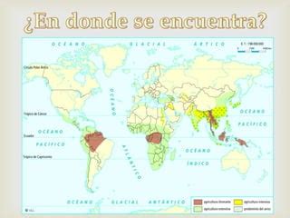 Agricultura De Subsistencia Ppt