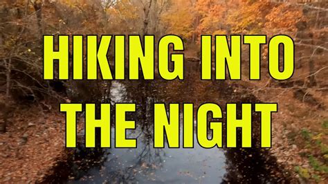 Night Hiking In A Swamp Youtube