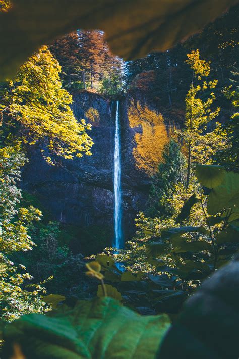 8 Stunning Waterfalls Near Portland You Must See ROAD TRIP USA