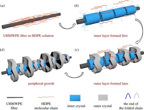 Schematic For The Formation Mechanism Of The Hdpe Crystals Induced By A