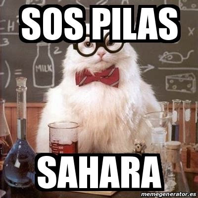 Meme Chemistry Cat Sos Pilas Sahara 18704624