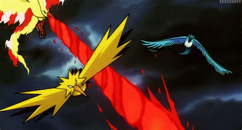 Articuno Zapdos Y Moltres Pokemon  Articuno Articuno Zapdos Moltres