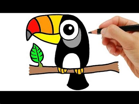 Comment Dessiner Un Toucan Facile Etape Par Etape Youtube