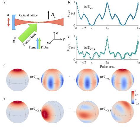 Setup And Spin Dynamics A Schematic Of The Setup 173 Yb Atoms Are