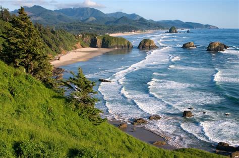 Activities Heceta Beach Rv Park