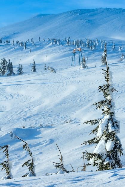 Abetos Nevados Gelados E Telef Rico Na Encosta Da Manh De Inverno