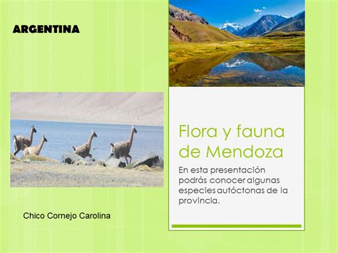 Flora Y Fauna De La Provincia De Mendoza