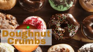 The Origin Of The Doughnut Doughnut Crumbs