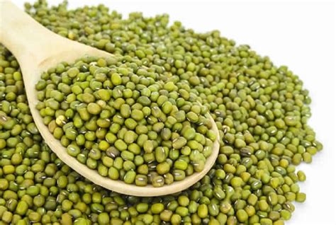 Sabut Green Moong Dal At Rs Kg Green Mung Bean In Hubli Id