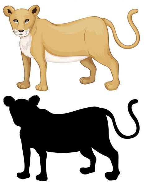 Female Lion Vector at Vectorified.com | Collection of Female Lion ...