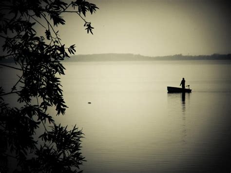 Free Images Beach Tree Water Nature Silhouette Light Black And