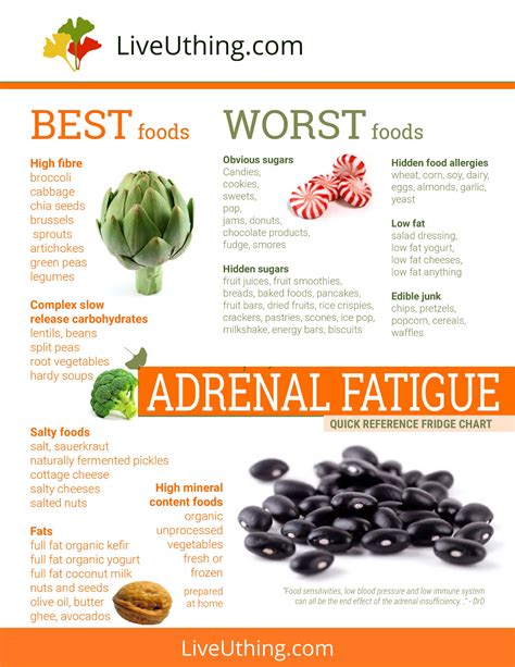 Adrenal Fatigue Food List At Jeanne Jimmy Blog