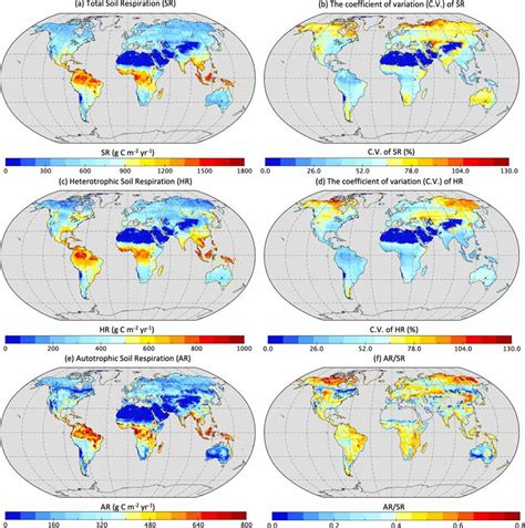 Global Distribution Of Simulated Average Total Soil Respiration Sr