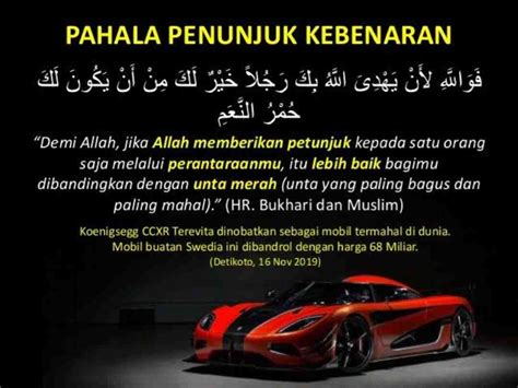 lebih  sekadar unta unta merah atmago