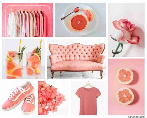 Beautiful Citrus Pink Colour Combinations To Brighten Your Day Citrus