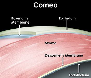 Stroma Eye Diagram