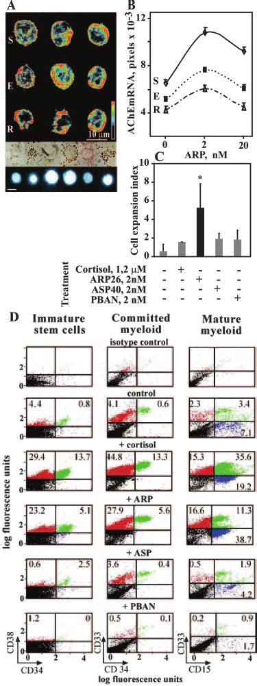 Arp Operates As An Inducer Of Ache Gene Expression And Potentiates