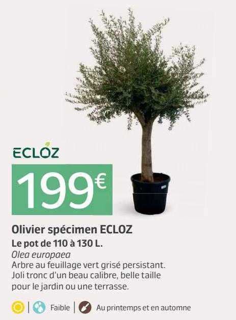 Promo Olivier Spécimen Ecloz chez Jardiland iCatalogue fr