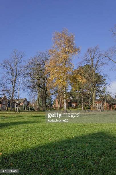 Edgbaston House Photos And Premium High Res Pictures Getty Images