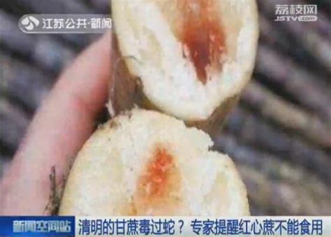 清明的甘蔗毒過蛇？專家提醒紅心蔗不能食用 每日頭條