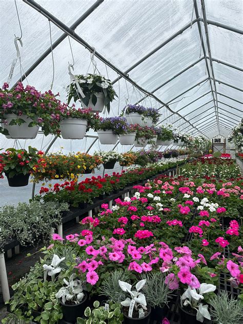 mountain view garden center 4