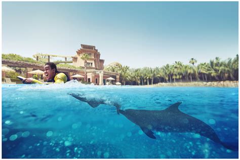 Photos from Dolphin Bay Experiences at Atlantis The Palm in Dubai ...