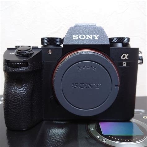 Sony ソニー Sony α9 Ilce 9の通販 By Kumarikus Shop｜ソニーならラクマ