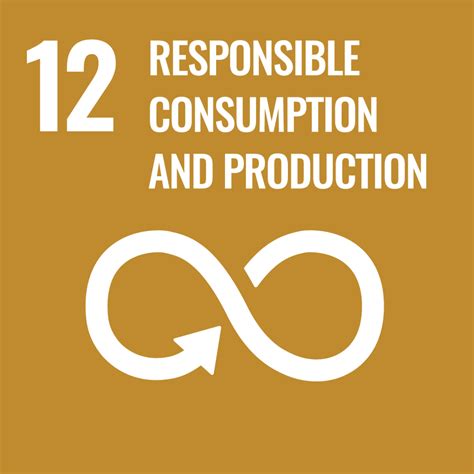 Goal 12 Responsible Consumption And Production United Nations Sustainable Development Goals