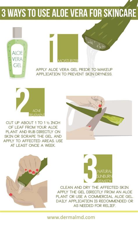 Amazing Ways To Use Aloe Vera For Skincare