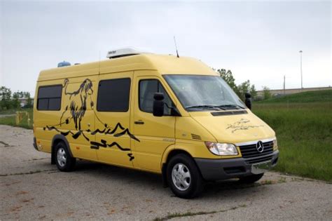 Dog Transporter Sprinter Conversion Van Custom